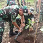 Hijaukan Lampung, Korem 043/Gatam Tanam 6.300 Batang Pohon