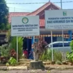 Misteri Order Publikasi Advetorial Setengah Milyar di Dinas Kominfo Tanggamus