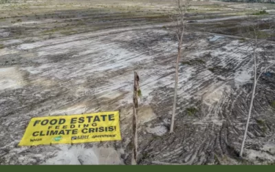 Kritikan Walhi untuk Food Estate Jokowi yang Dinilai Jadi Proyek Gagal