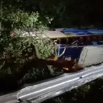 Bus Blue Star Terguling ke Luar Bahu Jalan Tol Cipali: 1 Orang Tewas, 8 Terluka