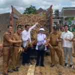 Pemkab Mesuji bersama PT. Great Giant Pinneaple Panen Perdana Creating Shared Value Komoditas Singkong