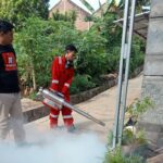 Keluhan Warga Sumber Rejo Terkait Penanganan DBD