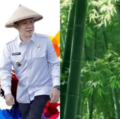 PJ Bupati Marindo Ajak Warga Pringsewu Tanam Bambu