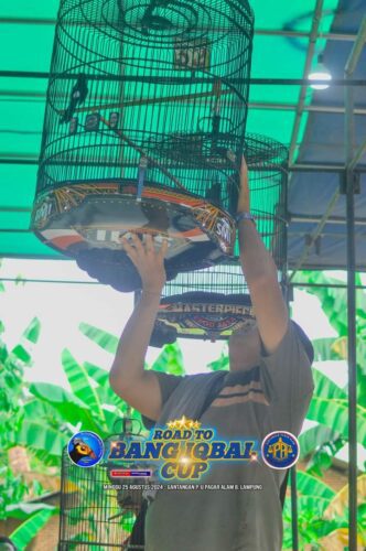 Road to Bang Iqbal, Relawan Menggelar Pameran dan Lomba Burung Berkicau