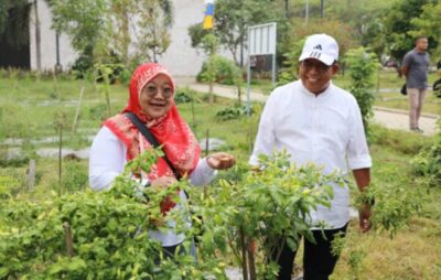 Pj. Gubernur Samsudin Ajak Masyarakat Ramaikan Wisata Edukasi Kebun PKK Agropark Sabah Balau Lampung Selatan