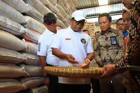 Pj. Gubernur Lampung Tinjau Ketersediaan Beras di Gudang Bulog Liwa, Pastikan Stok Aman hingga Akhir 2024