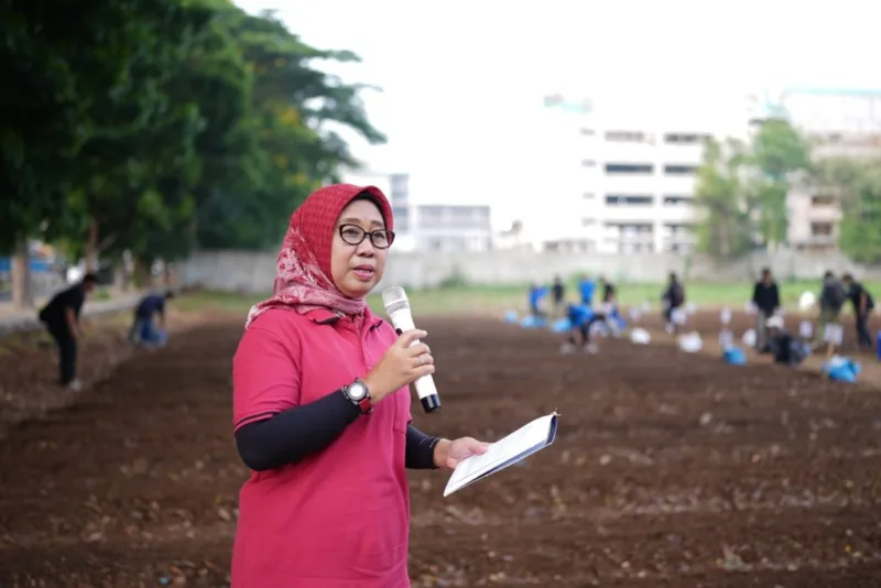 Lomba Menanam Sayuran Meriahkan HUT ke-25 DWP dan Hari Ibu ke-96