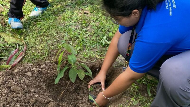 Kelompok KKN Universitas Lampung Gelar Program “Kecil Menanam, Dewasa Memanen” untuk Konservasi Ekosistem Darat