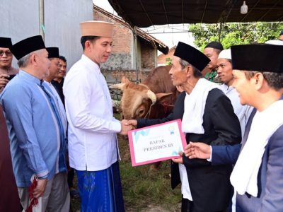 Dari Istana untuk Rakyat: Bupati Egi Serahkan Bantuan Sapi Kurban dari Presiden