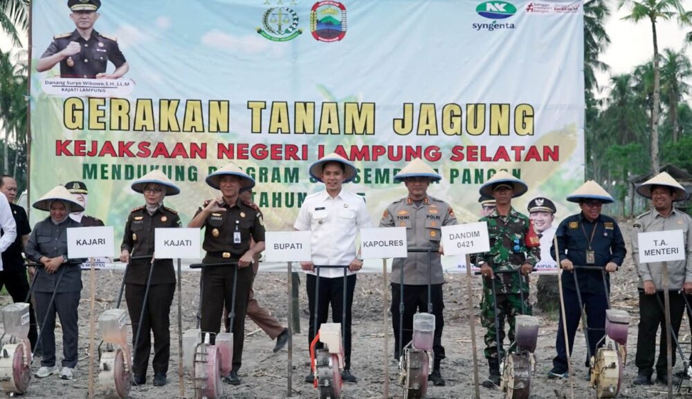 Bukti! Bupati dan Kajati Lampung Tanam Perdana Jagung di Kalianda, Dorong Ketahanan Pangan dan Pendampingan Petani