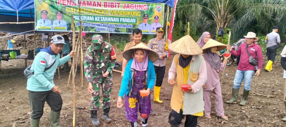 Dukung Ketahanan Pangan, Babinsa Hadiri Tanam Jagung Perdana di Desa Binaan