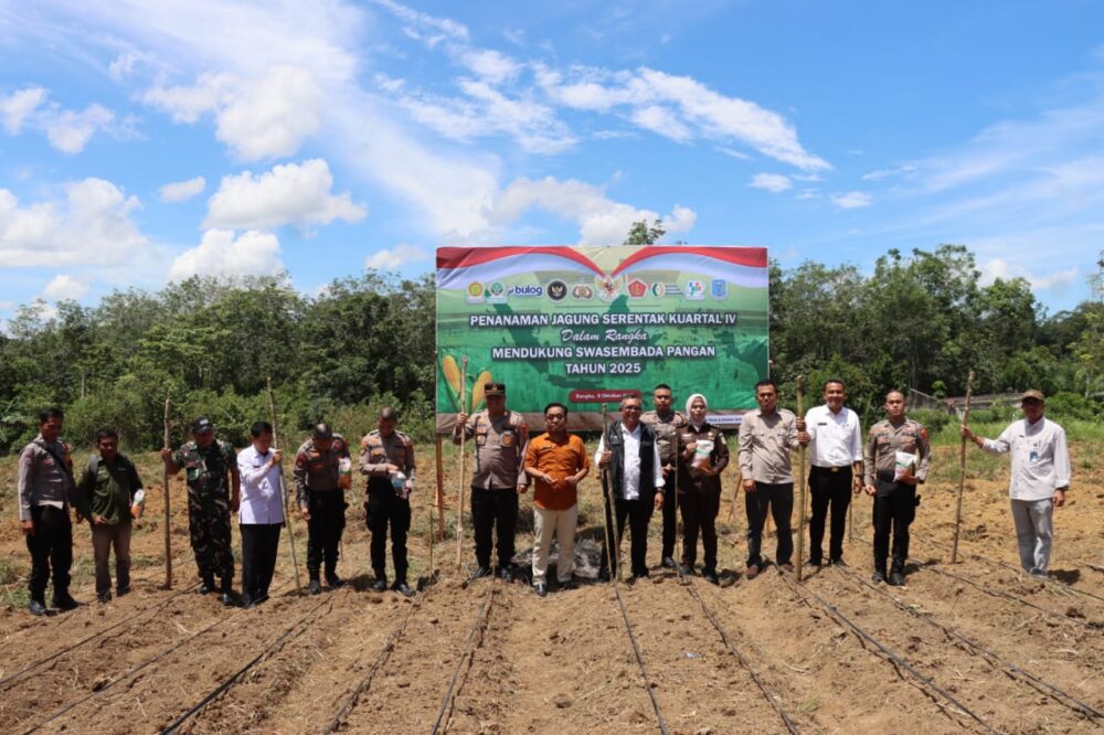 Polres Merangin Tanam Jagung Serentak Secara Nasional, Dukung Program Ketahanan Pangan Pemerintah