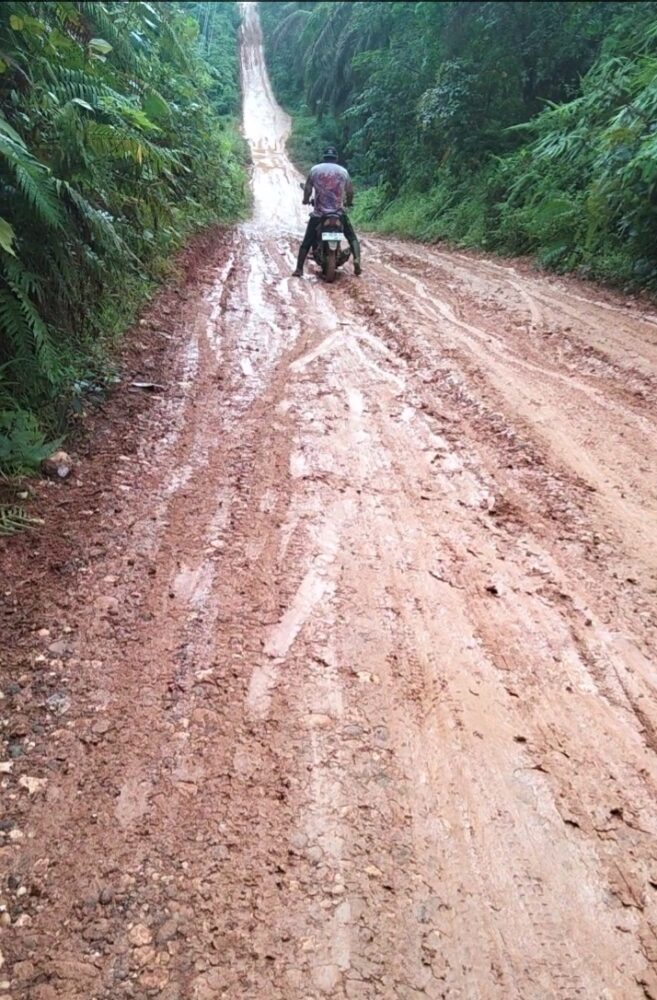 PERMASALAHAN JALAN DESA BUKIT BERINGIN KABUPATEN MERANGIN: MOHON ULURAN TANGAN PEMERINTAH