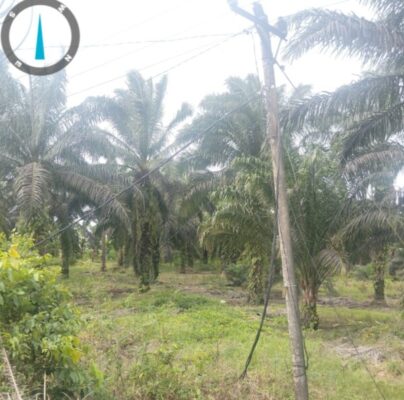 Kabel Listrik Dipreteli Maling, 20 Rumah Terdampak – Polsek Kumpeh Ilir Diuji Ketegasannya