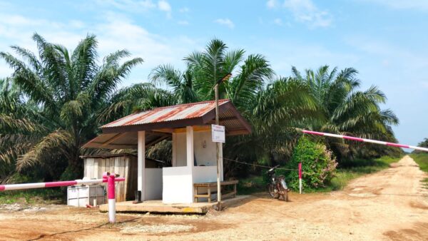 Ketua Koperasi Sinar Mulia Rezeki Berikan Klarifikasi Soal Dugaan Jual Beli Lahan HGU