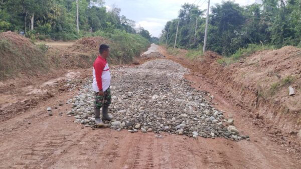 Satgas TMMD Ke-128 Kodim 0420/Sarko Genjot Penimbunan Jalan dan Perataan Batu Mangga di Desa Seko Besar