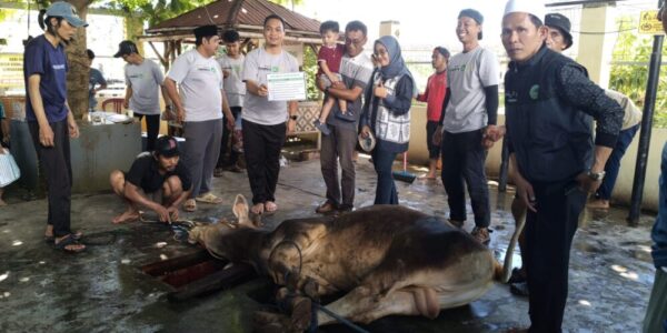 DKM Al Iman Gedong Meneng Gelar Penyembelihan Hewan Qurban 1447 Hijriah