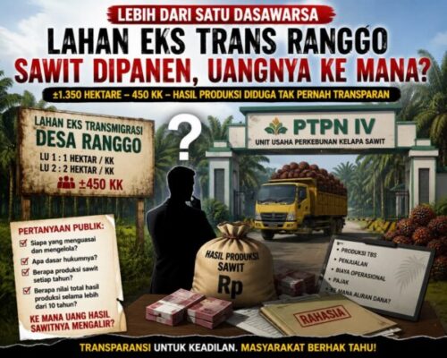 Lahan Eks Transmigrasi Desa Ranggo Dikelolah Lebih Dari Satu Dasawarsa, Kemana Hasil Sawitnya