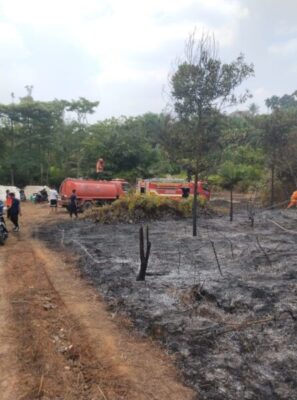 Sigap Tangani Kebakaran Hutan di Jalan Tanjungmenanti Waskita Karya, Damkar dan BNPB Kabupaten Merangin Bergerak Cepat