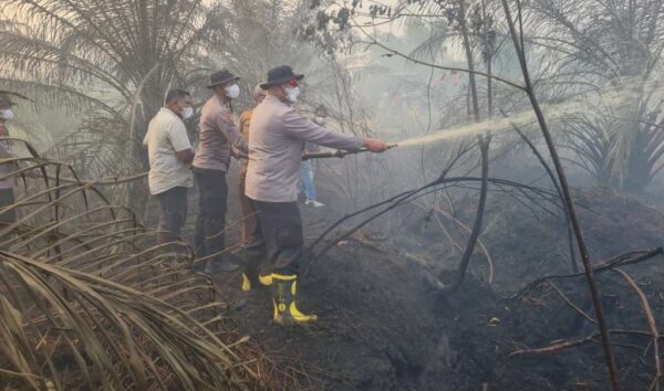 Dandim 0420/Sarko Bersama Forkopimda Padamkan Karhutla di Area Plasma PT BKS