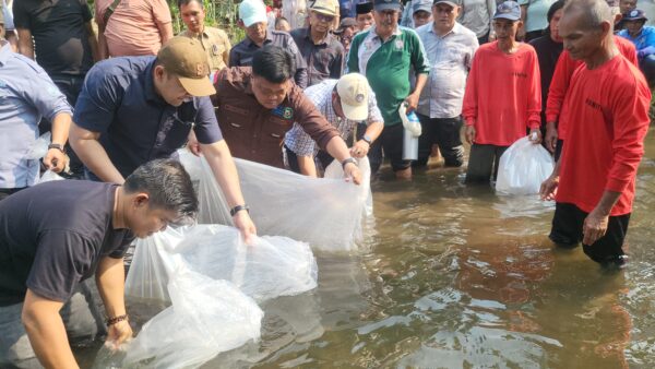 Buka Lubuk Larangan Durian Rambun, Bupati M. Syukur Alokasikan Rp3 Miliar dan Larang PETI