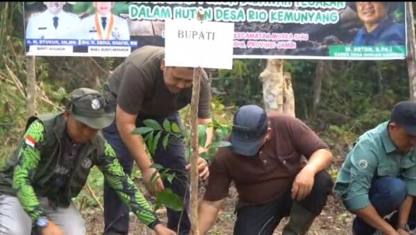 Dukung Kelestarian Hutan, Bupati M. Syukur Pimpin Penanaman Pohon di Rio Kemunyang