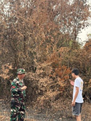 Ground Check Hotspot Karhutla di Sarolangun, Petugas Berjibaku Padamkan Api Seluas 2,3 Hektare