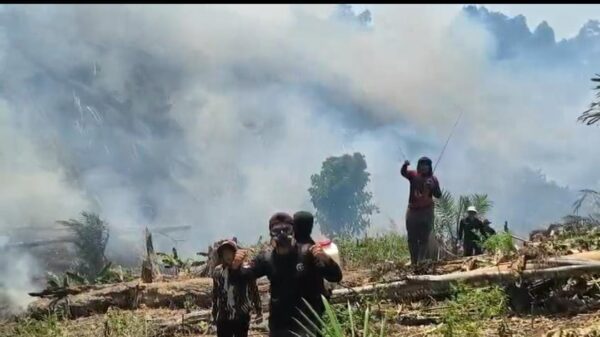 Karhutla di Area PT Jebus Maju Meluas, Tim Gabungan Butuh Water Bombing
