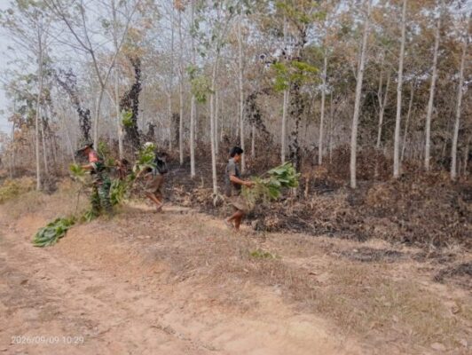 Puluhan Personel Bergerak Padamkan Hotspot Karhutla di Sarolangun, 19,2 Hektare Lahan Terbakar