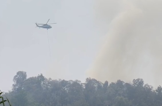 Padamkan Api Di Bukit Telasih, BPBD Propinsi Bantu Turunkan Water Bombing 