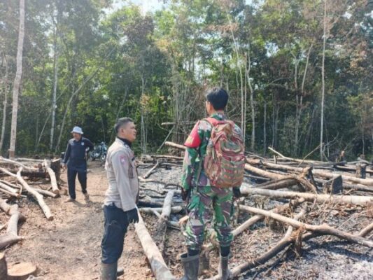 Ground Check Hotspot di Margo Tabir, Tim Gabungan Pastikan Api Padam