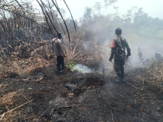 Ground Check Hotspot di Desa Sumber Agung, Tim Gabungan Pastikan Api Karhutla Telah Padam