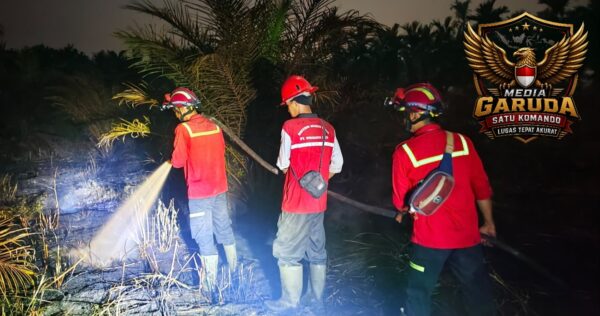 Tim Gabungan Padamkan Kebakaran Lahan di Desa Manis Mato, Muaro Jambi