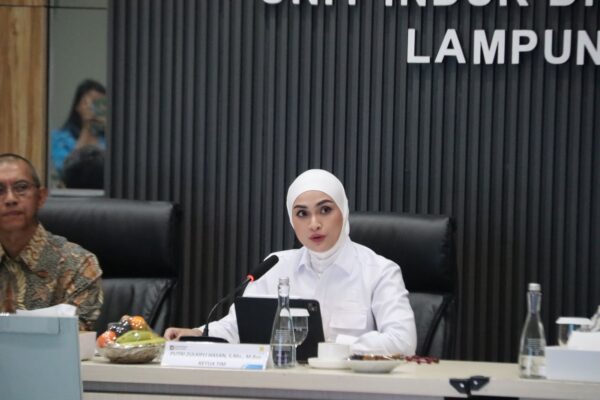 Komisi XII DPR RI Apresiasi Keandalan Listrik Lampung