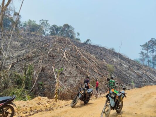 Karhutla di Pulau Salak Baru Berhasil Dipadamkan, Tim Gabungan Lakukan Ground Check