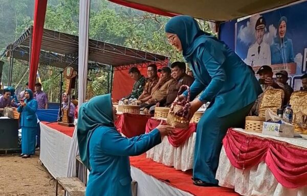 Tak Sekedar Seremonial, Ini Kiprah TP PKK Merangin dalam HKG ke-54 di Desa Tiangko