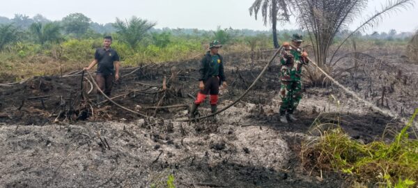 Satgas Karhutla Jambi Laksanakan Ground Check dan Pemadaman Hotspot di Kecamatan Pauh, Luas Lahan Terbakar Diperkirakan 5,8 Hektare